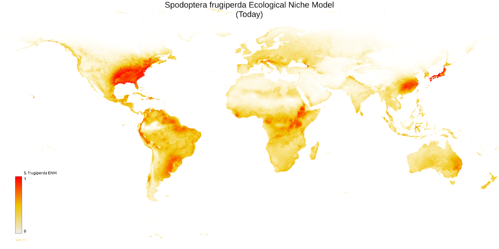 Ecological niche model for Piper nigrum
